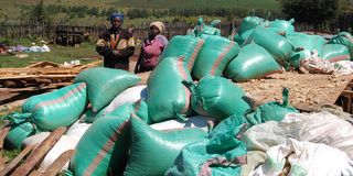 New Content Item (1)