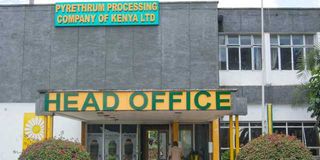 Pyrethrum Processing Company of Kenya 