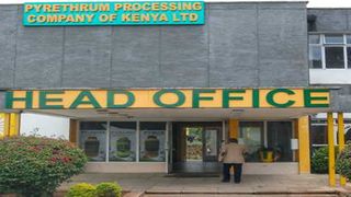 Pyrethrum Processing Company of Kenya 