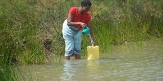 Plight of poor women walking 15km through thickets to fetch water, exposing them to rape, murder