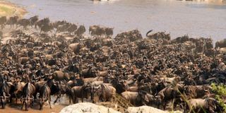 New Content Item (1)