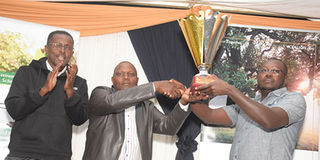 ICEA Lion King of the course