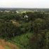 Ngong Forest 