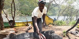 Turkwel dam, Fish, Fishing
