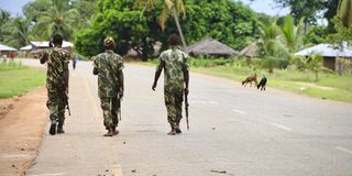 Mozambique soldiers