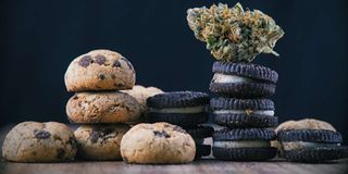 marijuana edibles