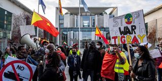 Pro-Tigrayan demonstrators 