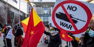 Pro-Tigrayan demonstrators 