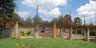 Stalled project at Egerton University