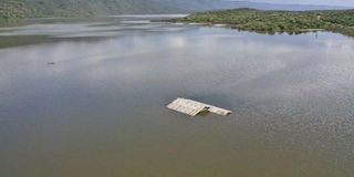 Lake Bogoria 