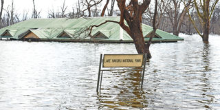 Lake Nakuru National Park