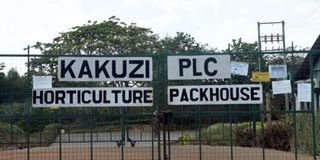 Kakuzi offices in Murang'a County