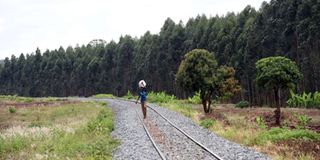 Kakuzi offices in Murang'a County