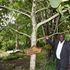 Kitale Conservationist 