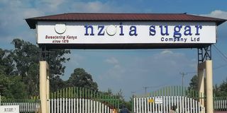 Nzoia Sugar Company 