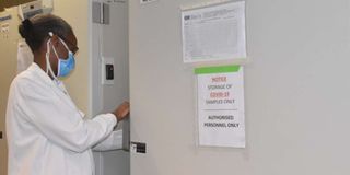 Kemri-Wellcome Trust Programme 