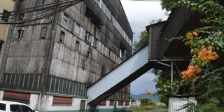 Muhoroni Sugar Company