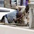 Street children