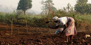 Bambari, Central African Republic