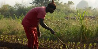  Bambari, Central African Republic