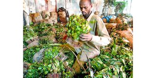 Miraa trader