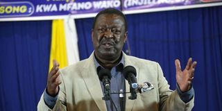 ANC party leader Musalia Mudavadi