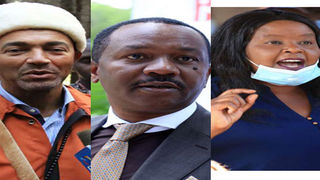 Peter Kenneth, Dennis Waweru, Margaret Wanjiru, William Kabogo 