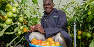 Derrick cannot hide his joy as he harvests