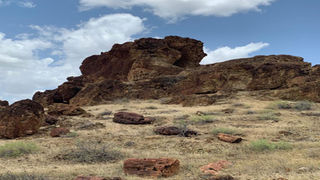 Siliboi petrified forest