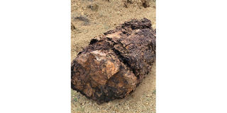 Sibiloi's Petrified forest