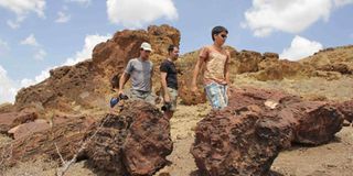 Petrified logs in Sibiloi