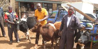 Ahadi Kenya Trust CEO Stanley Kamau 