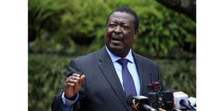 ANC leader Musalia Mudavadi