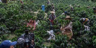 Colombia soapie production