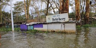 A partially submerged meat shop on the shores of Lake Naivasha.