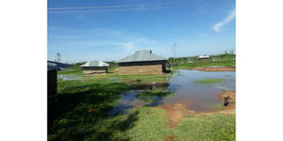 Houses marooned by water from Lake Victoria on December 16, 2020.
