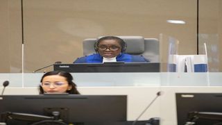 Judge Reine Adélaïde Sophie Alapini-Gansou