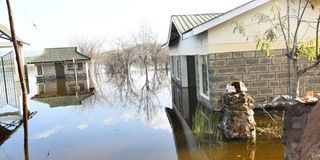 Lake Bogoria Game Reserve