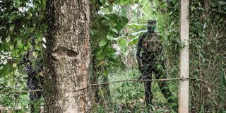 Military at Bobi Wine home