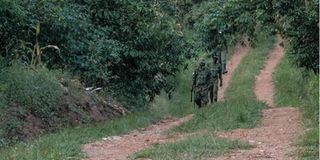 Military at Bobi Wine home