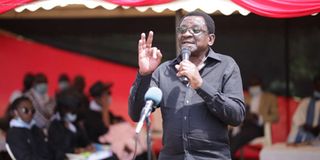 James Orengo 