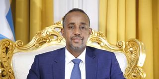 Somalia PM Mohamed Hussein Roble 