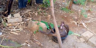 Tharaka Nithi ritual killing