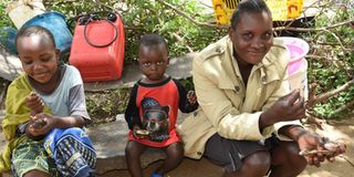 Resumption of peace, introduction of fingerlings at Turkwel Dam opened business window for women to venture into fishing