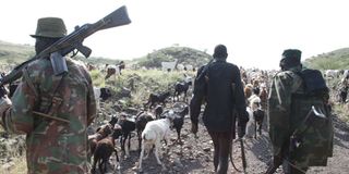 Armed herdsmen 