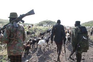 Armed herdsmen 