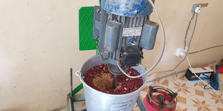 Satima Peanuts Company