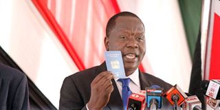 Interior Cabinet Secretary Fred Matiang'i