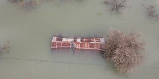 Lake Baringo crocodile