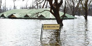 Lake Nakuru national park flooded